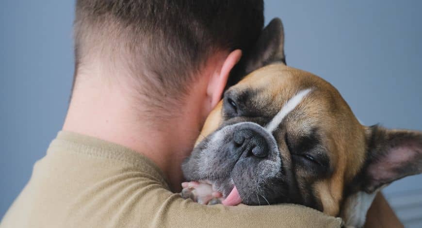 ¿Qué hacer si mi perro tiembla? Causas y soluciones para aliviar su malestar