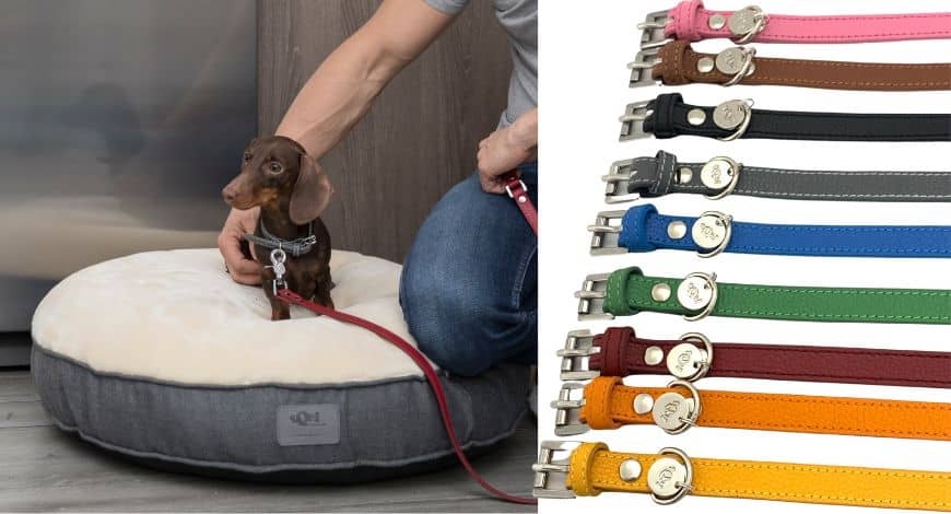 Correas de cuero para perros: Estilo y comodidad para tu mascota