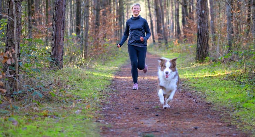 5 consejos imprescindibles para tener un perro sano