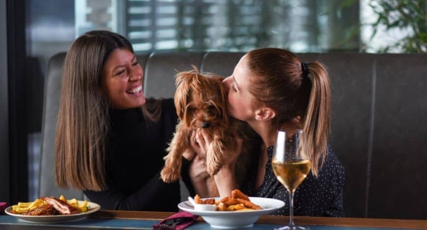 ¿Quieres saber cuáles son los mejores restaurantes que admiten perros en Madrid?