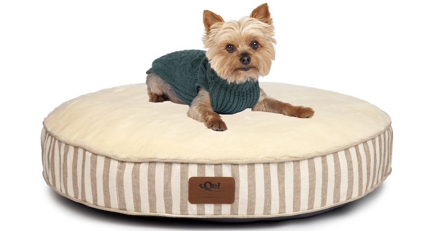 Camas para perros Yorkshire Terrier