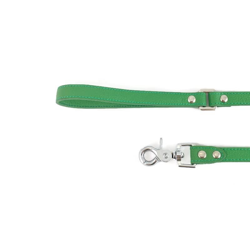 Correa de piel Mint