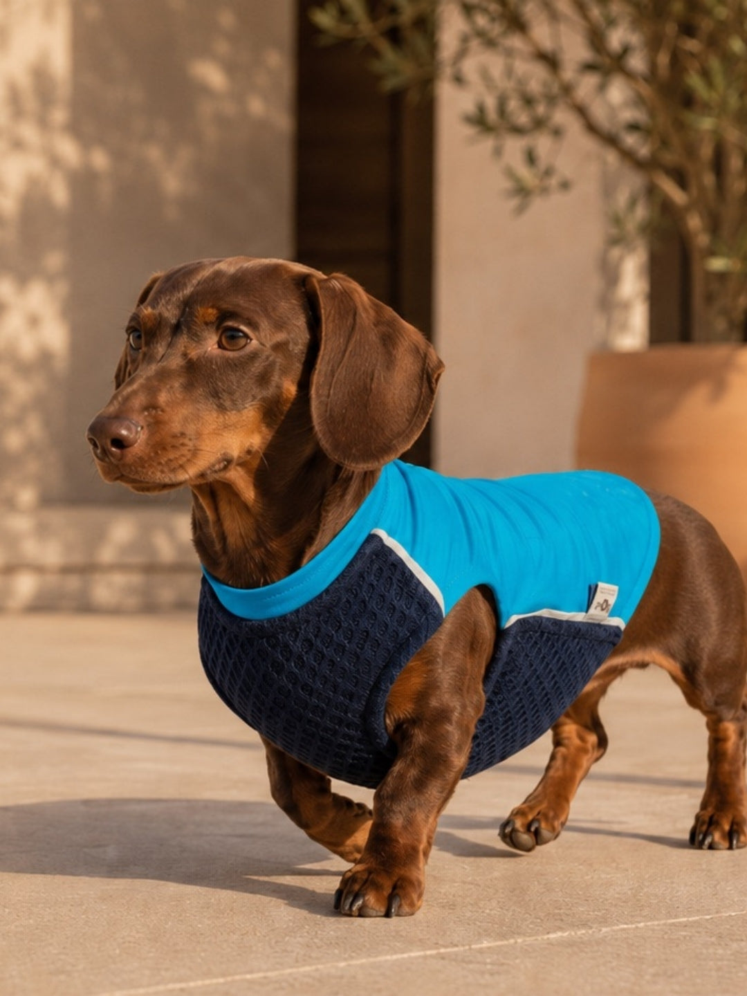 Dog Cooling Vest - FresQo