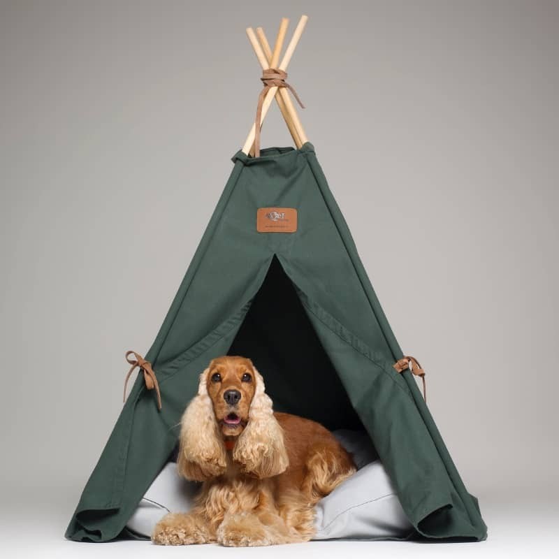 Tipi Olive para perros