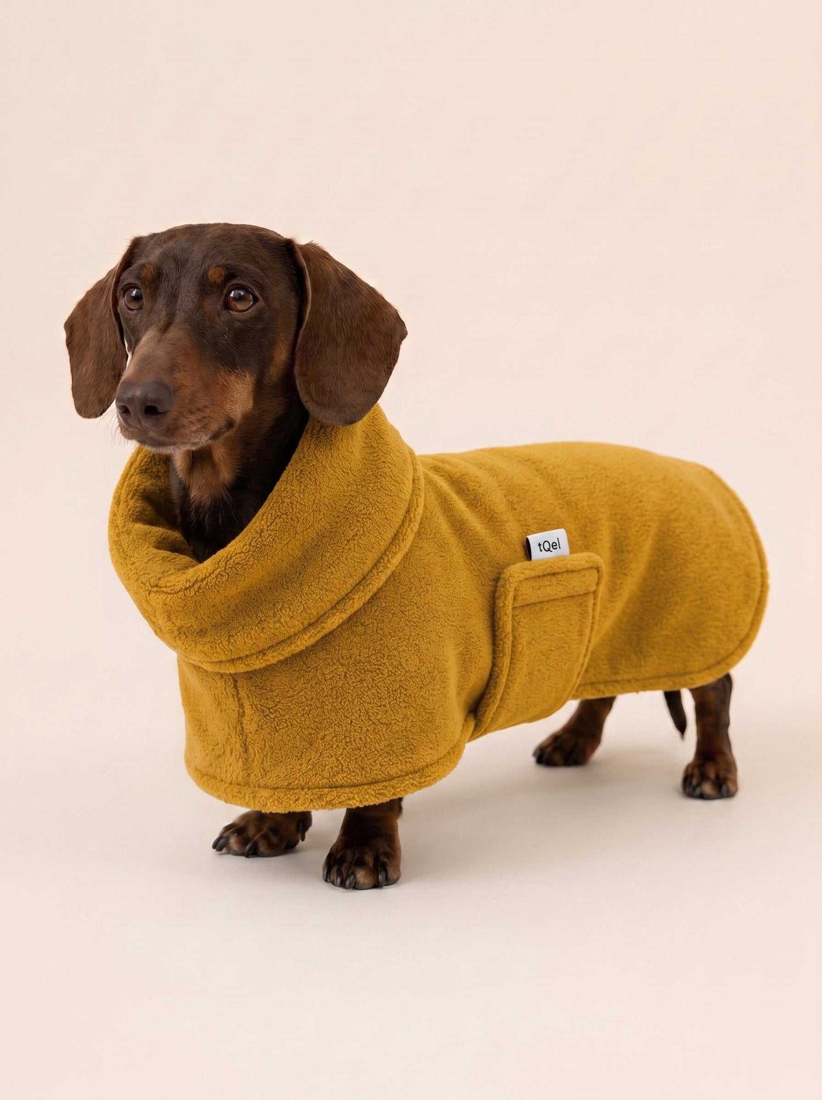 Albornoz Spa Mustard
