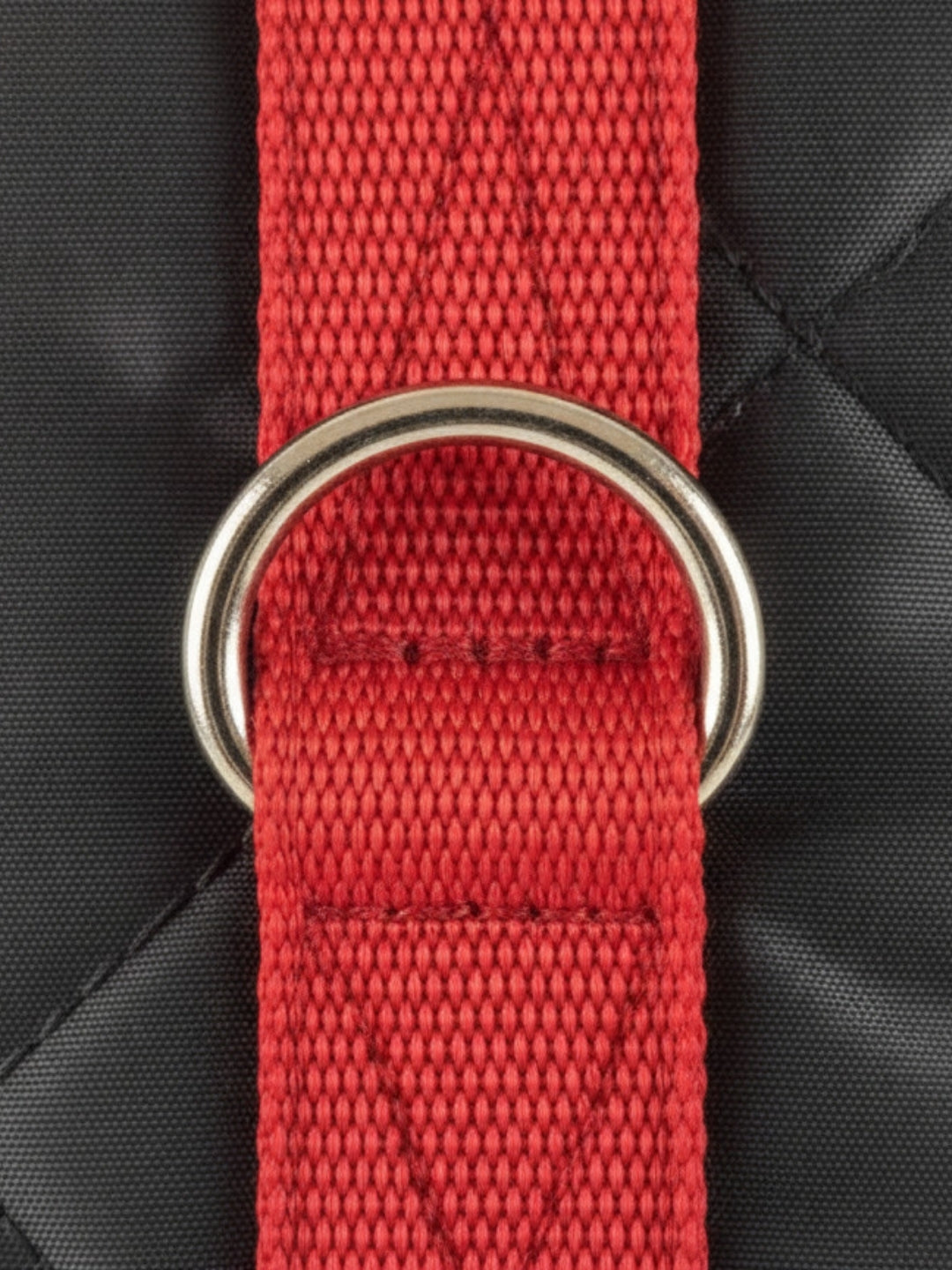 arnes para perros de color chocolate