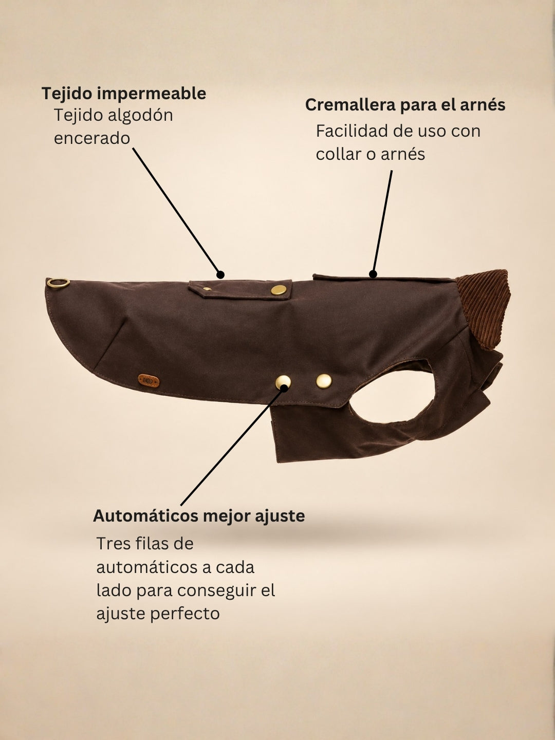 Barbour para perros