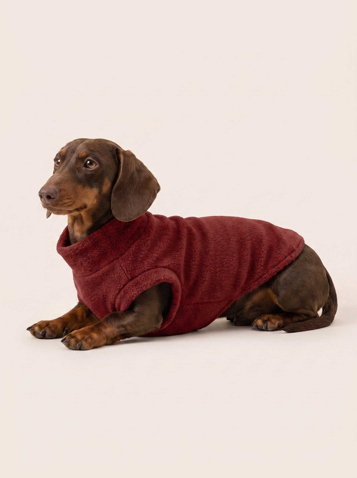 Abrigo polar Alaska Dark Red