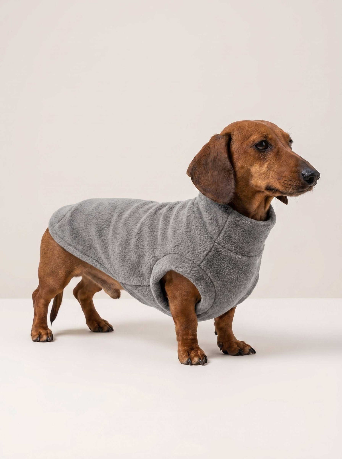 Abrigo polar Alaska Grey