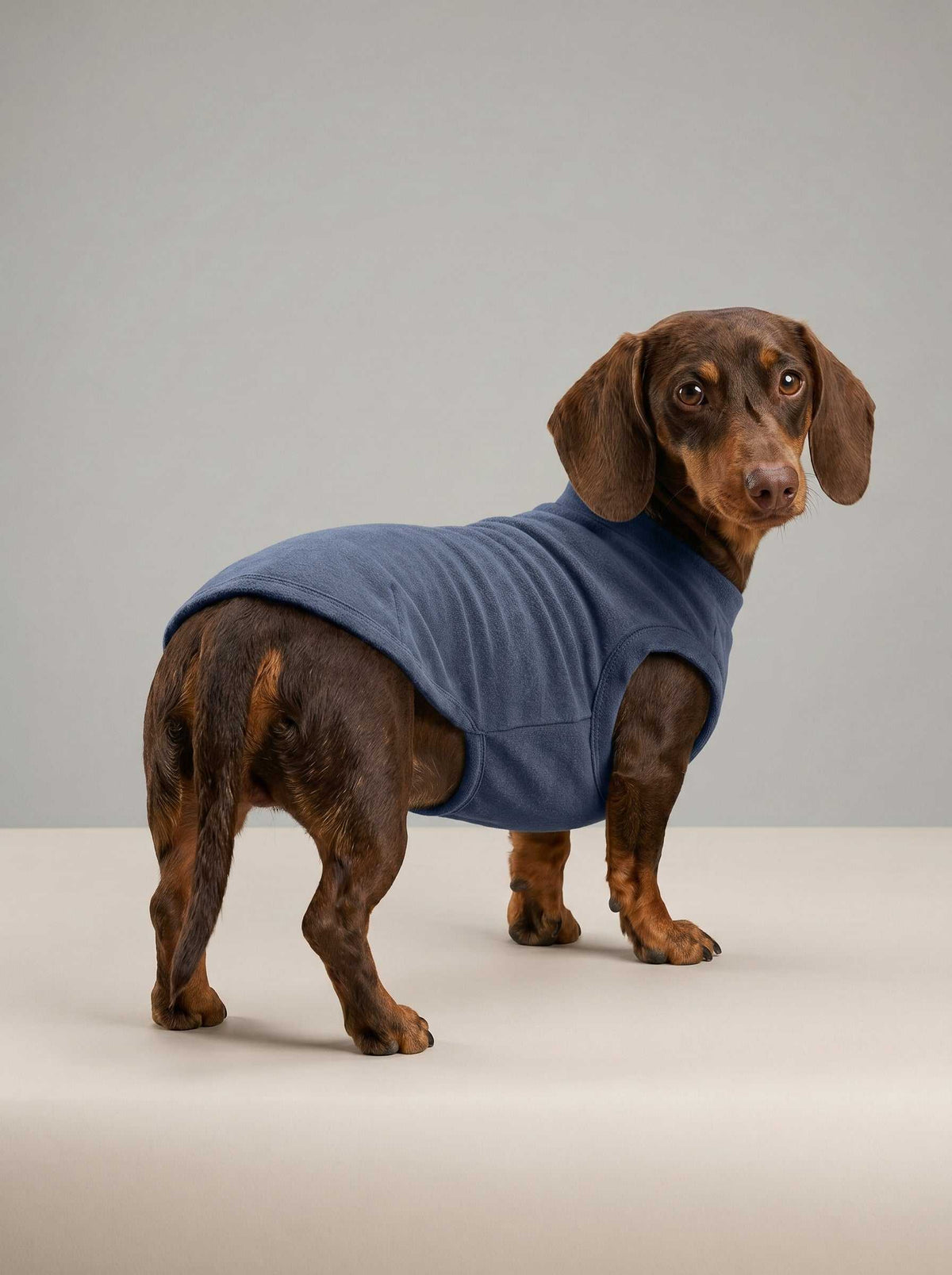 Chaqueta de punto Hudson Denim