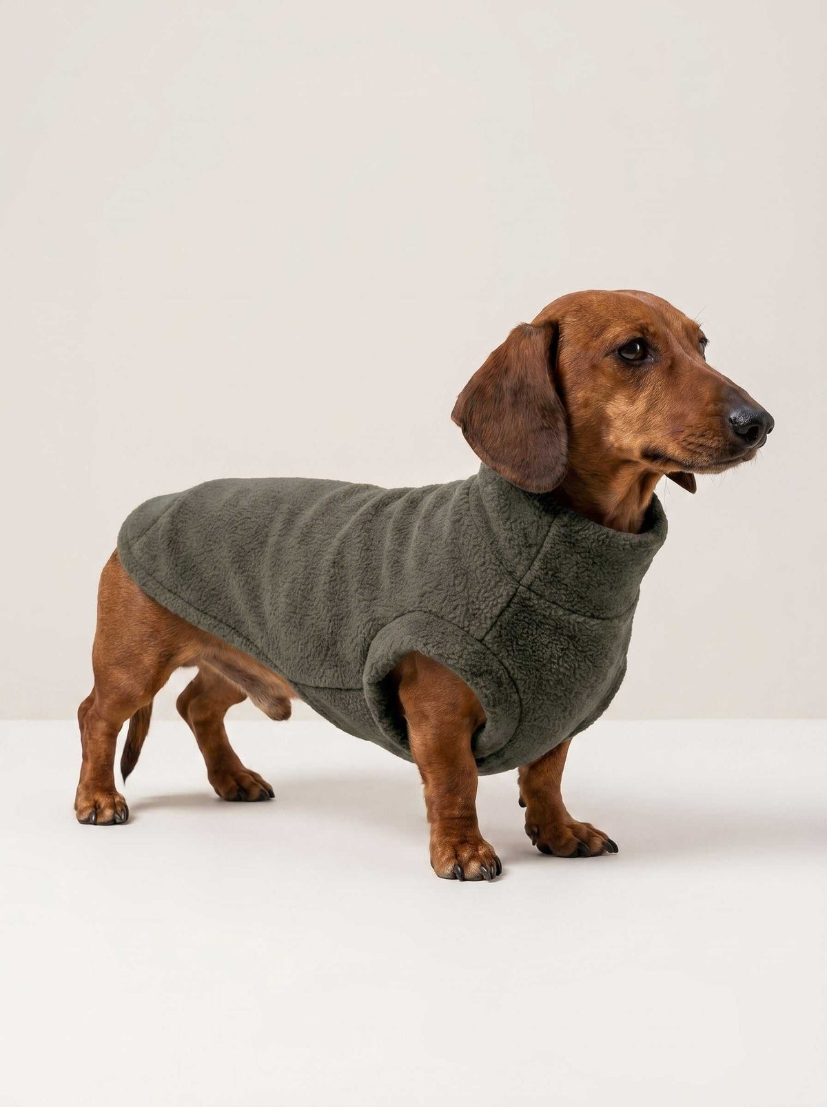 Abrigo polar Alaska Green
