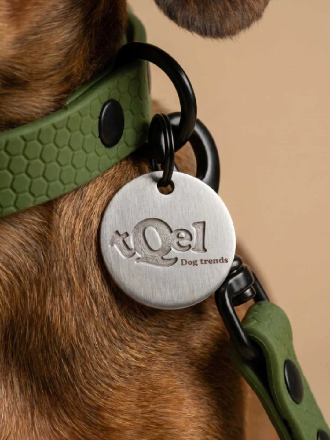 Collar para perros