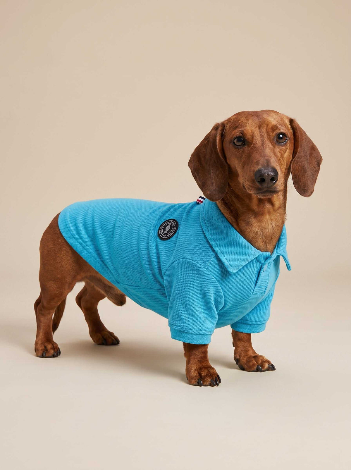 Polo Classic Blue