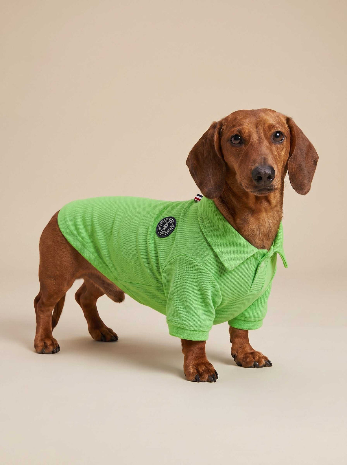 Polo Classic Green