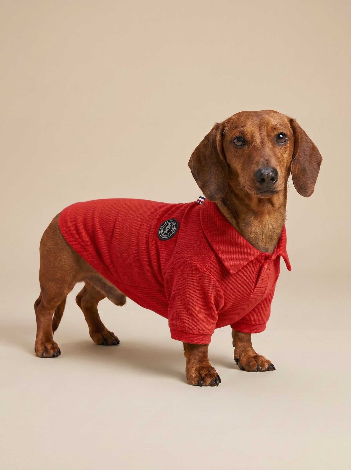 Polo Classic Red