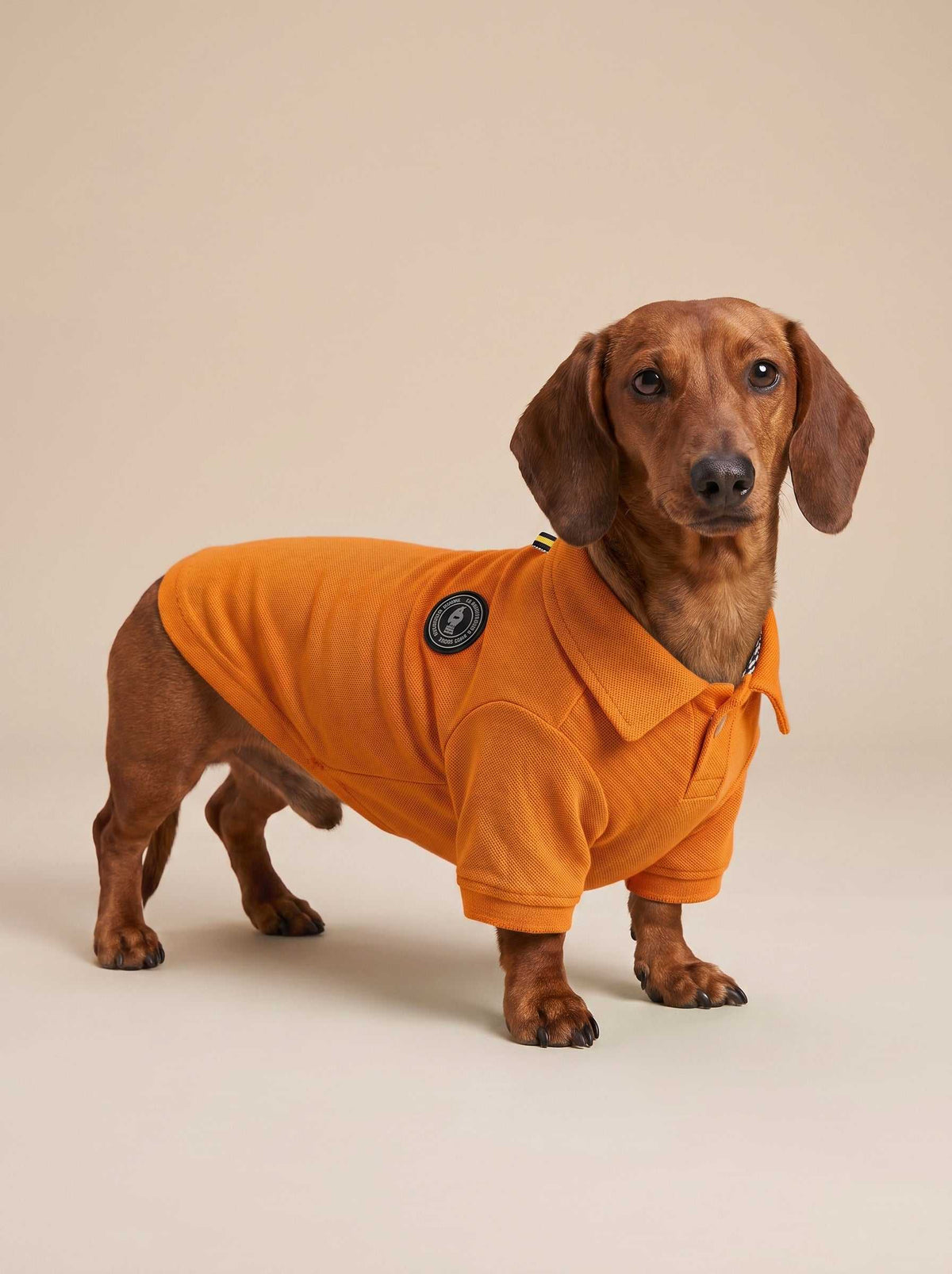Polo Classic Orange