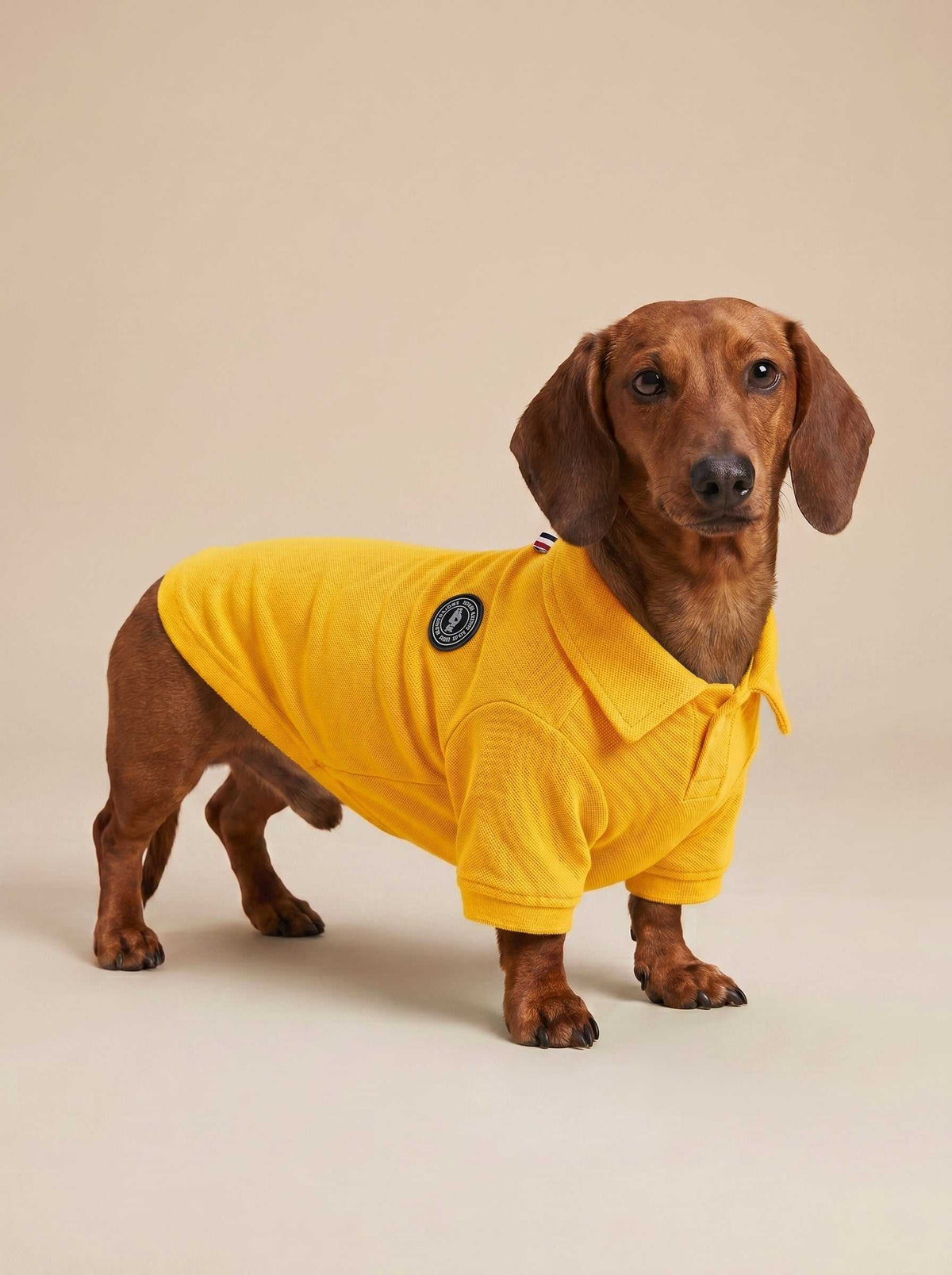 Polo Classic Yellow