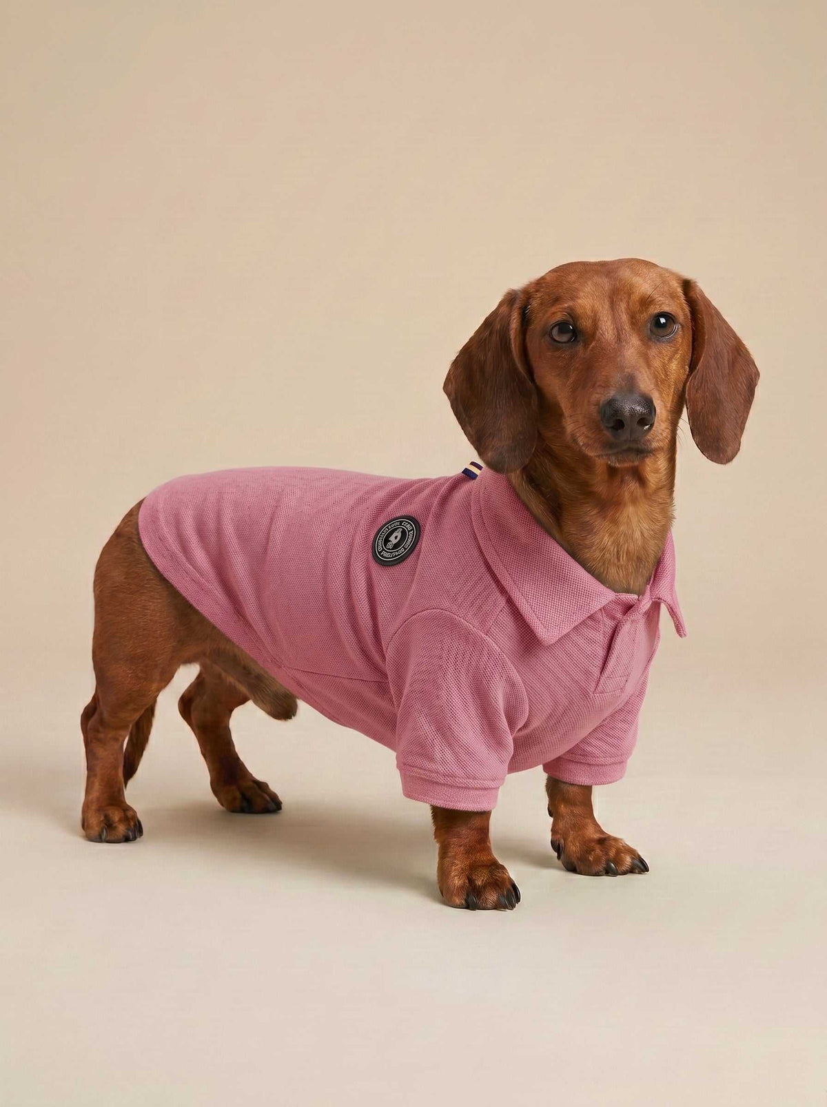 Polo Classic Pink