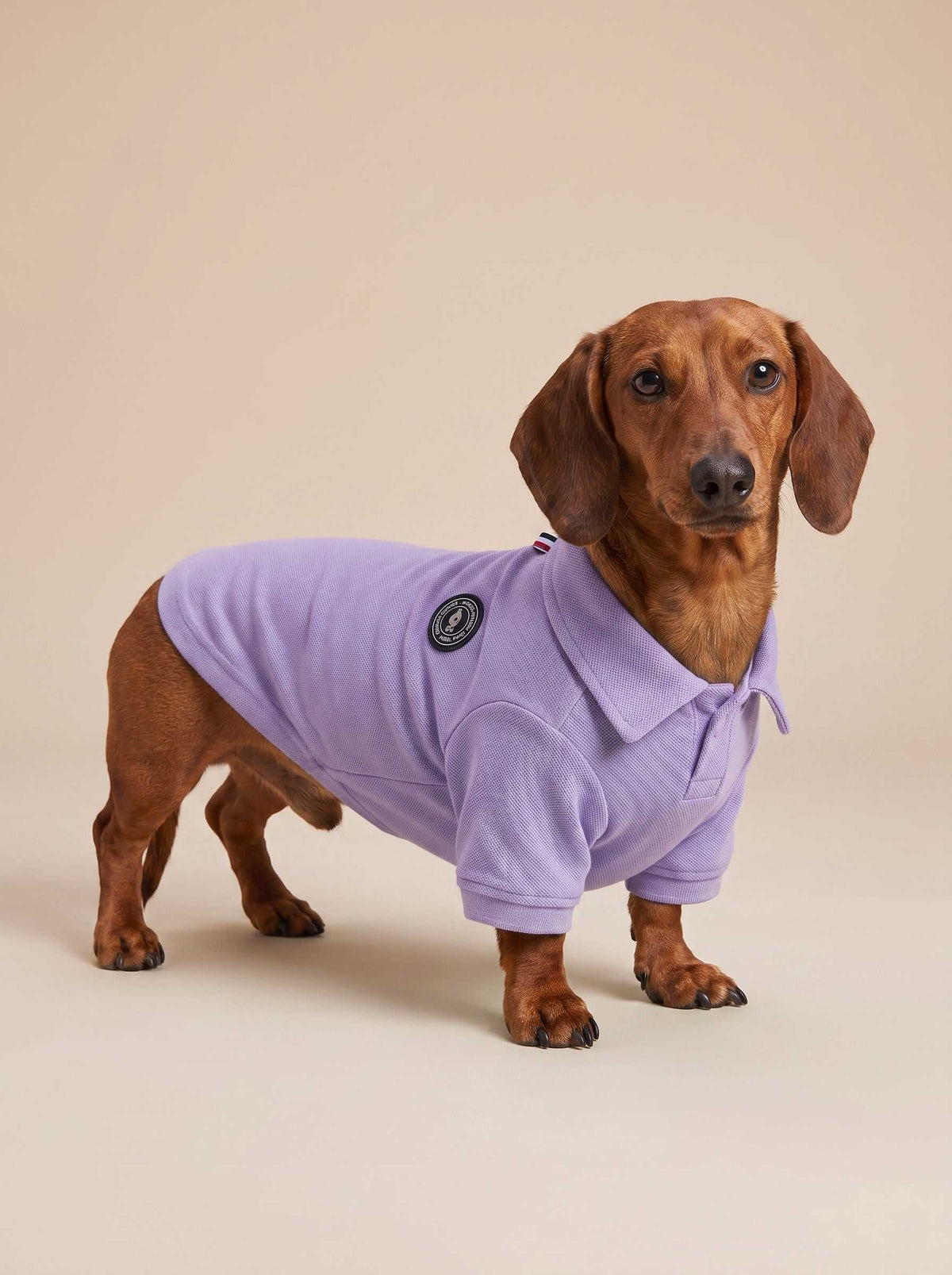 Polo Classic Purple