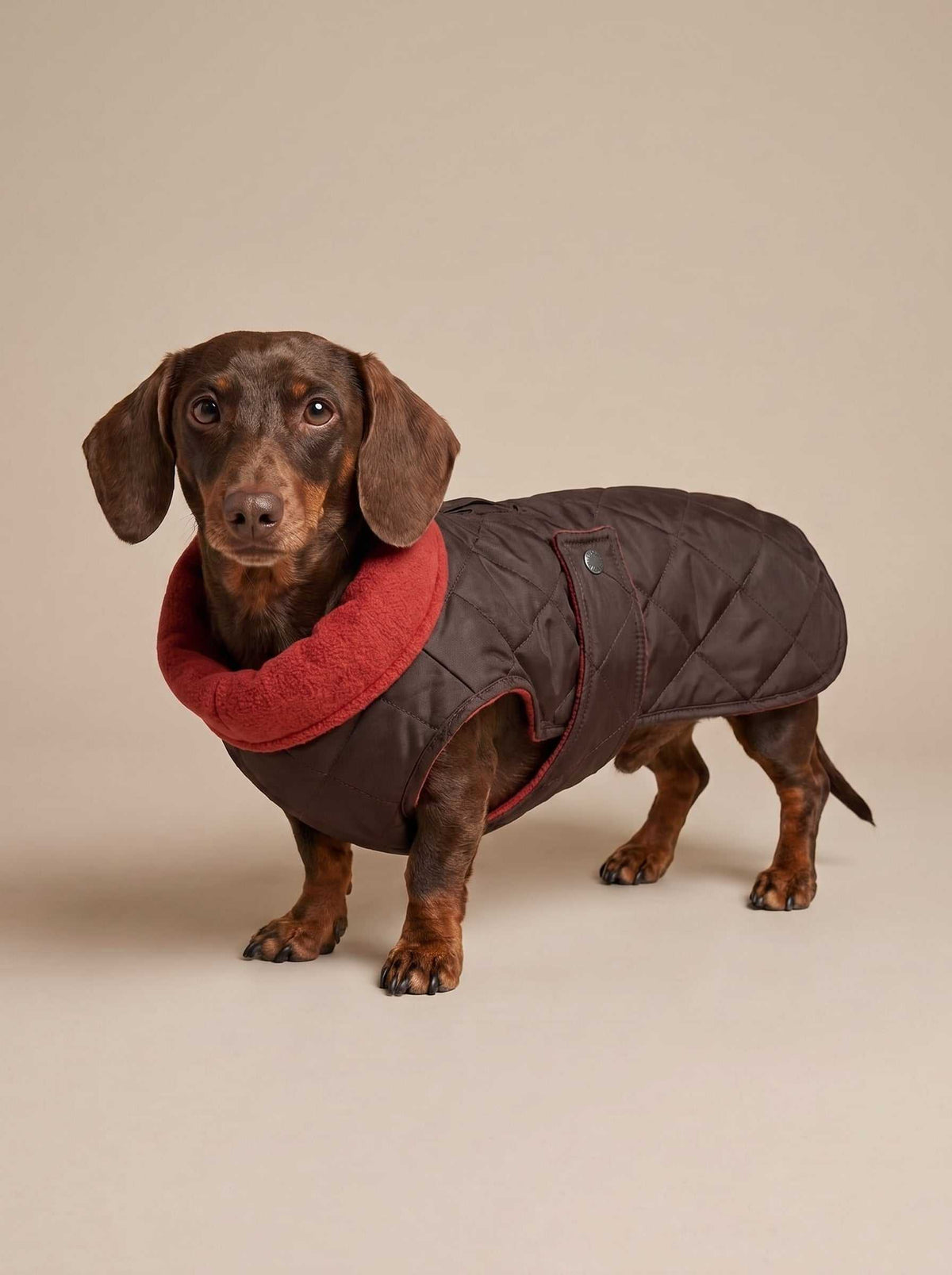 Abrigo impermeable Maxi Brown