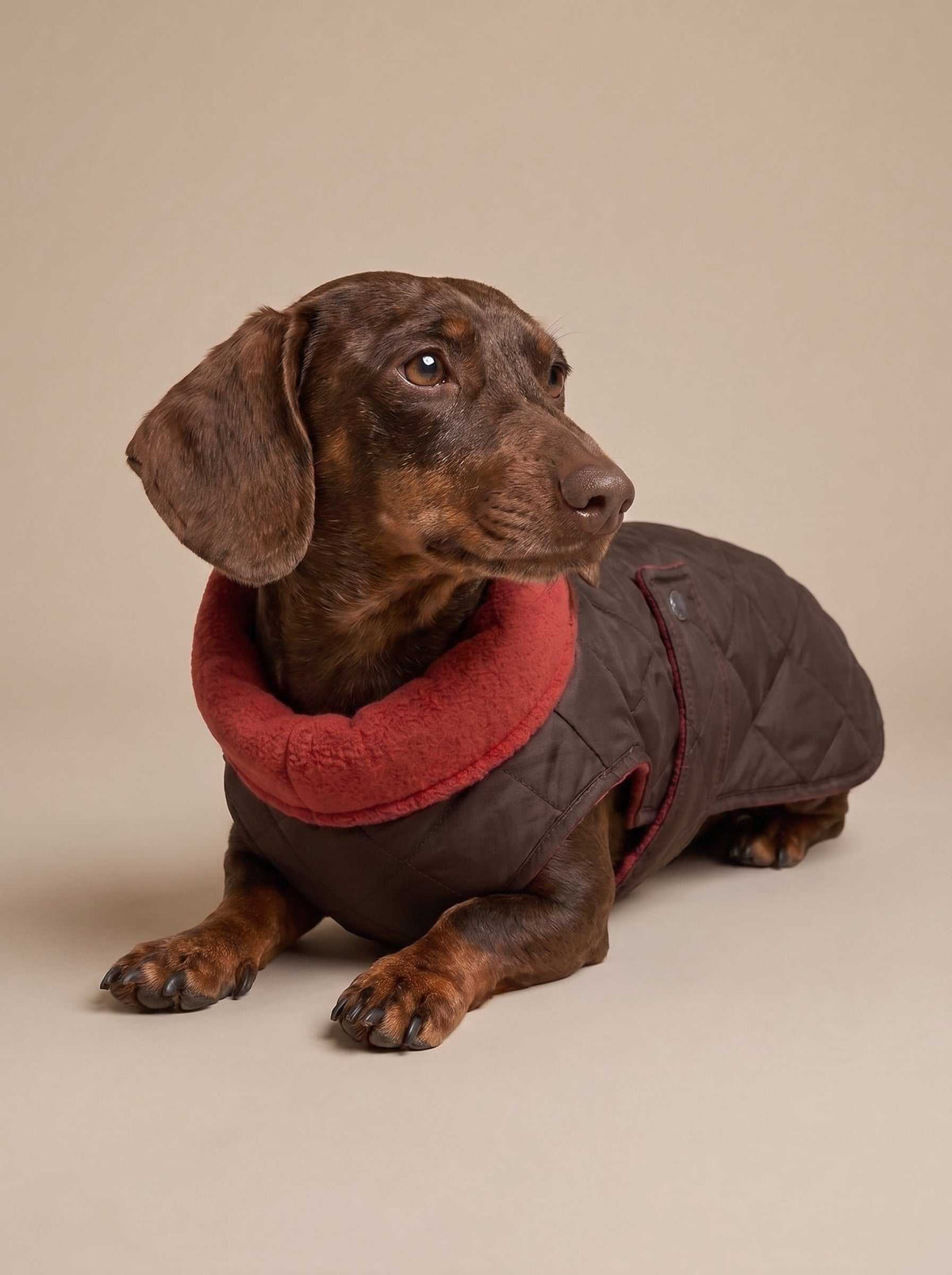 Abrigo impermeable Maxi Brown