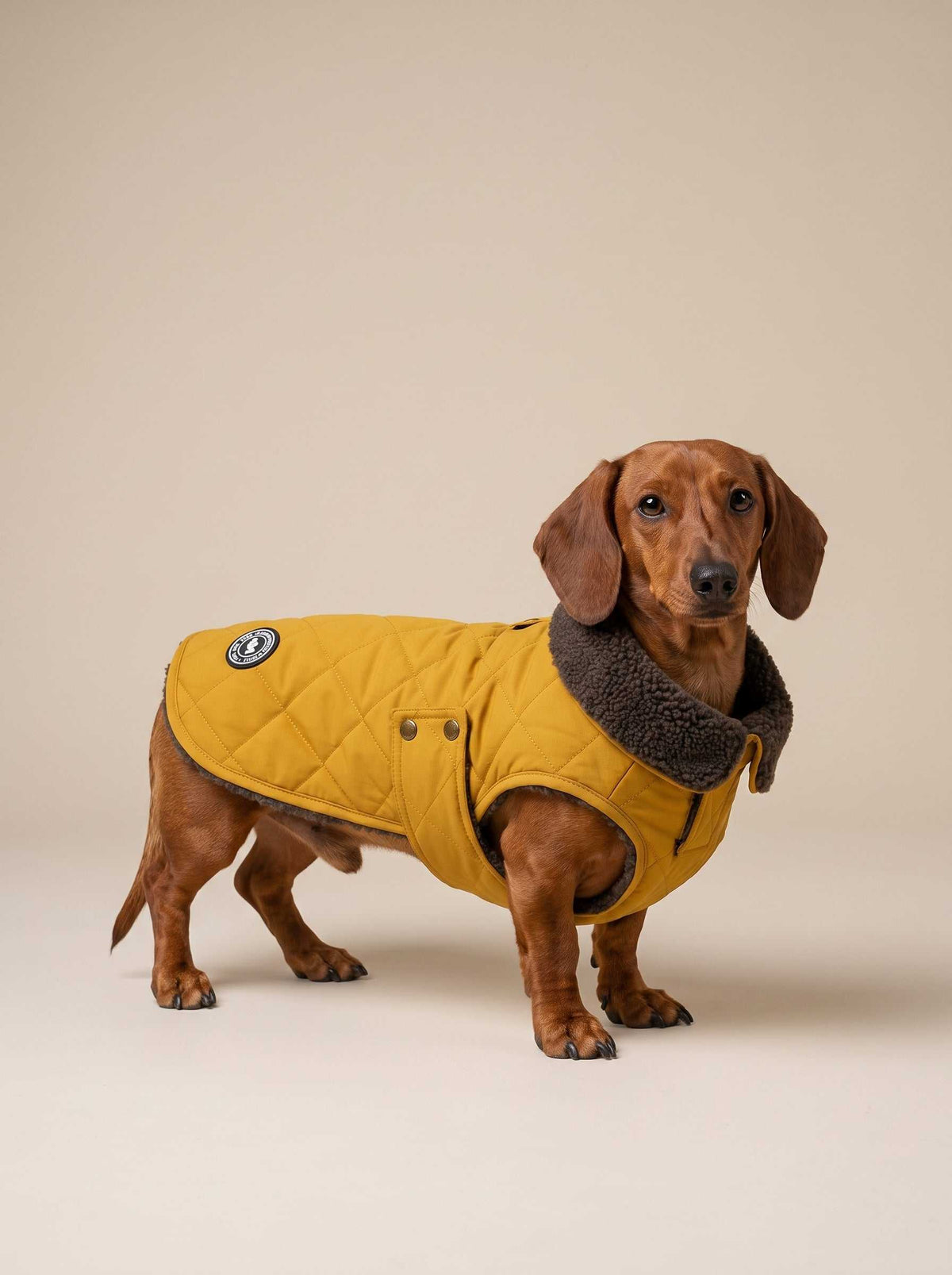 Abrigo impermeable Maxi Gold