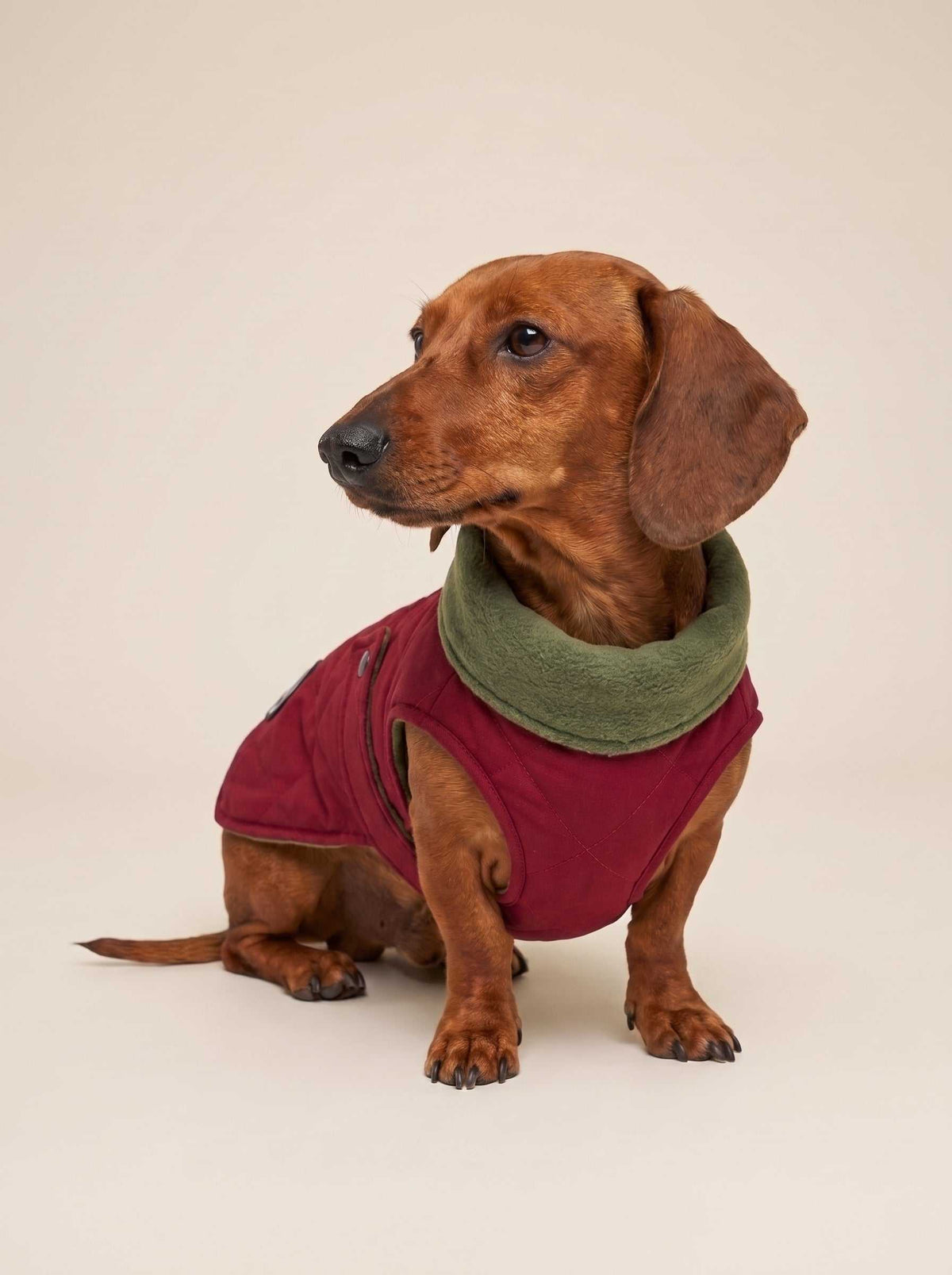 Abrigo impermeable Maxi Wine