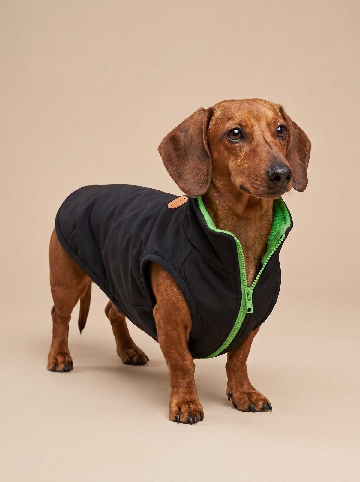 Abrigo impermeable Montblanc