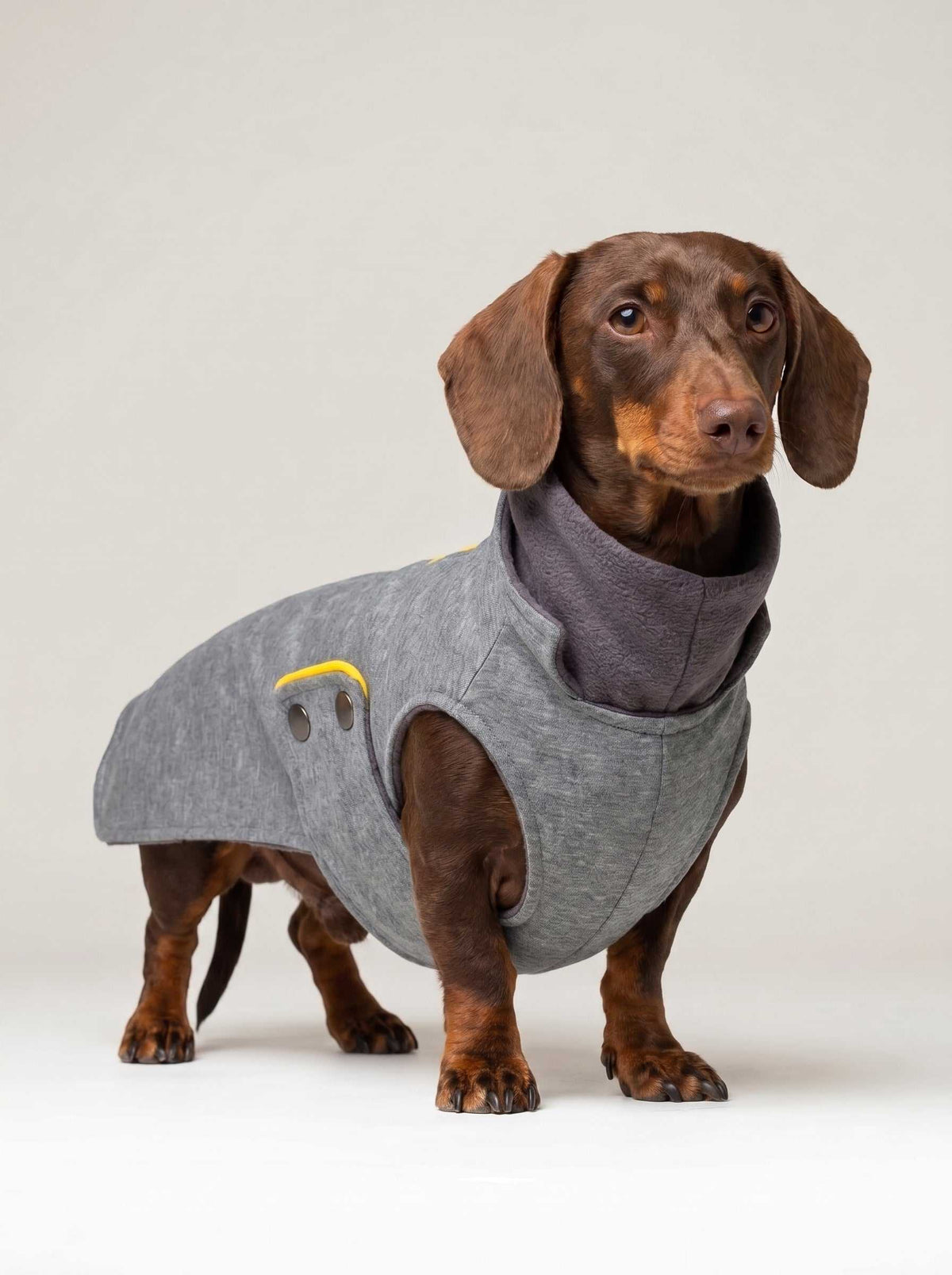 Abrigo impermeable Zermatt Grey