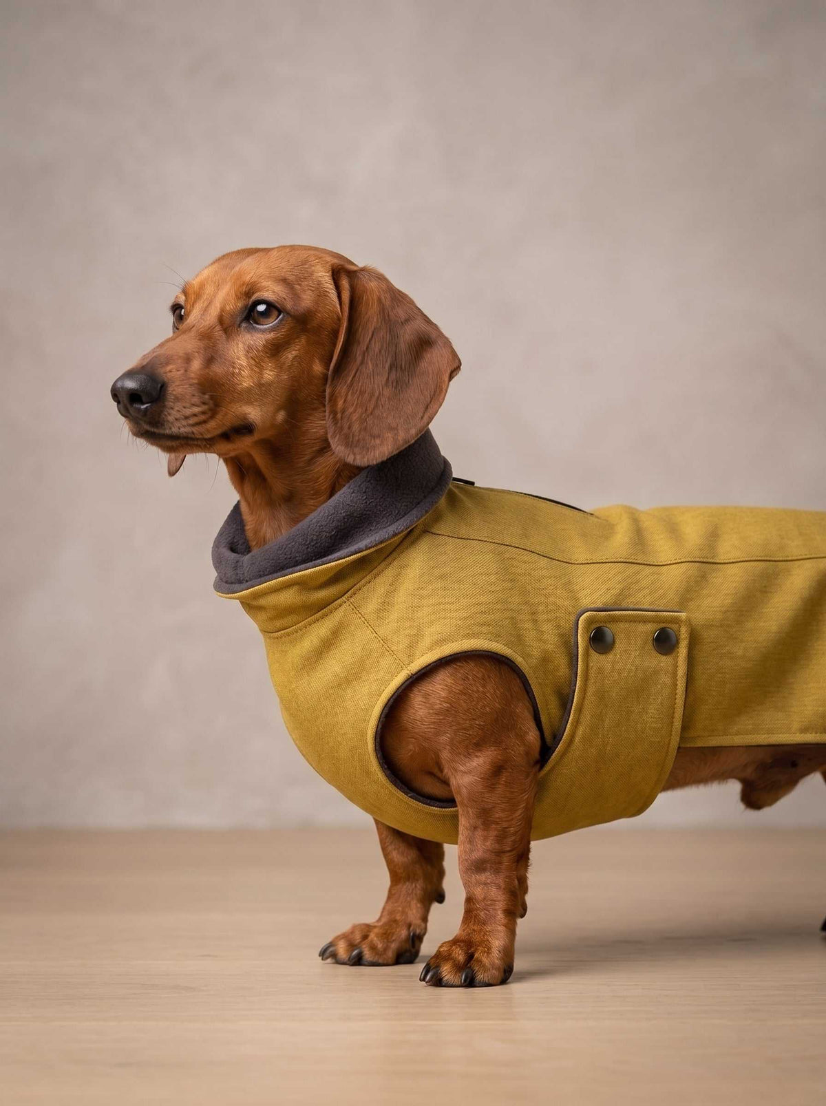 Abrigo impermeable Zermatt Mustard