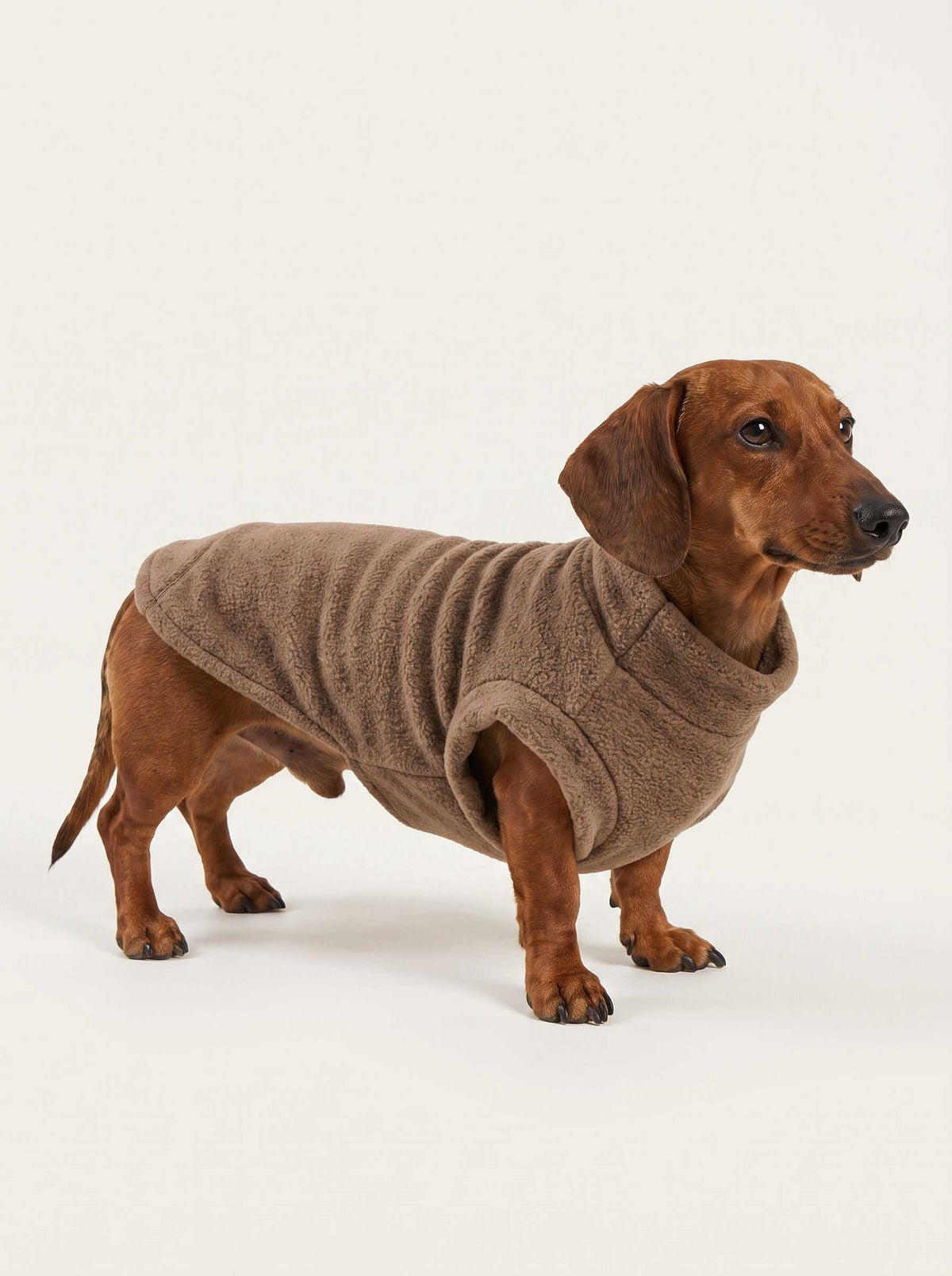 Abrigo polar Alaska Brown