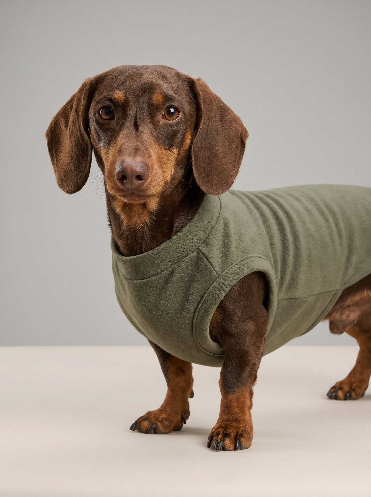 Chaqueta de punto Hudson Green