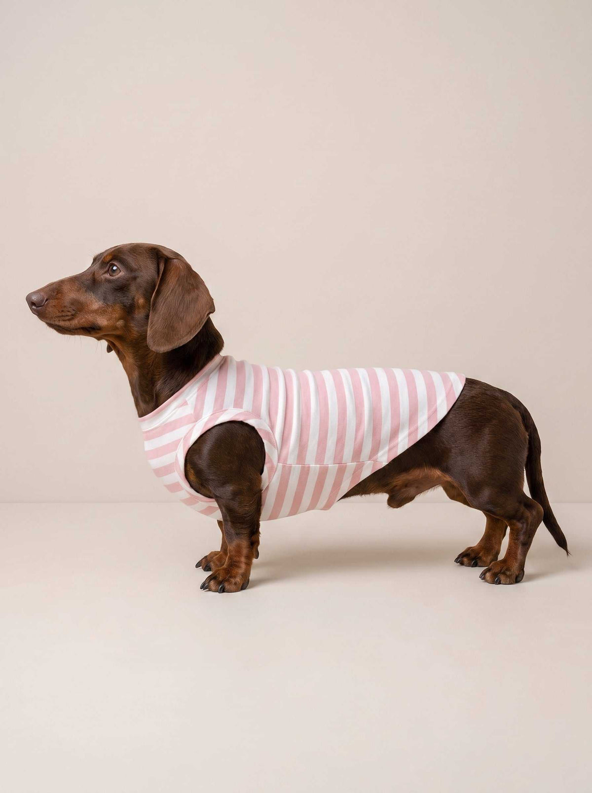 Camiseta Fresh Pink