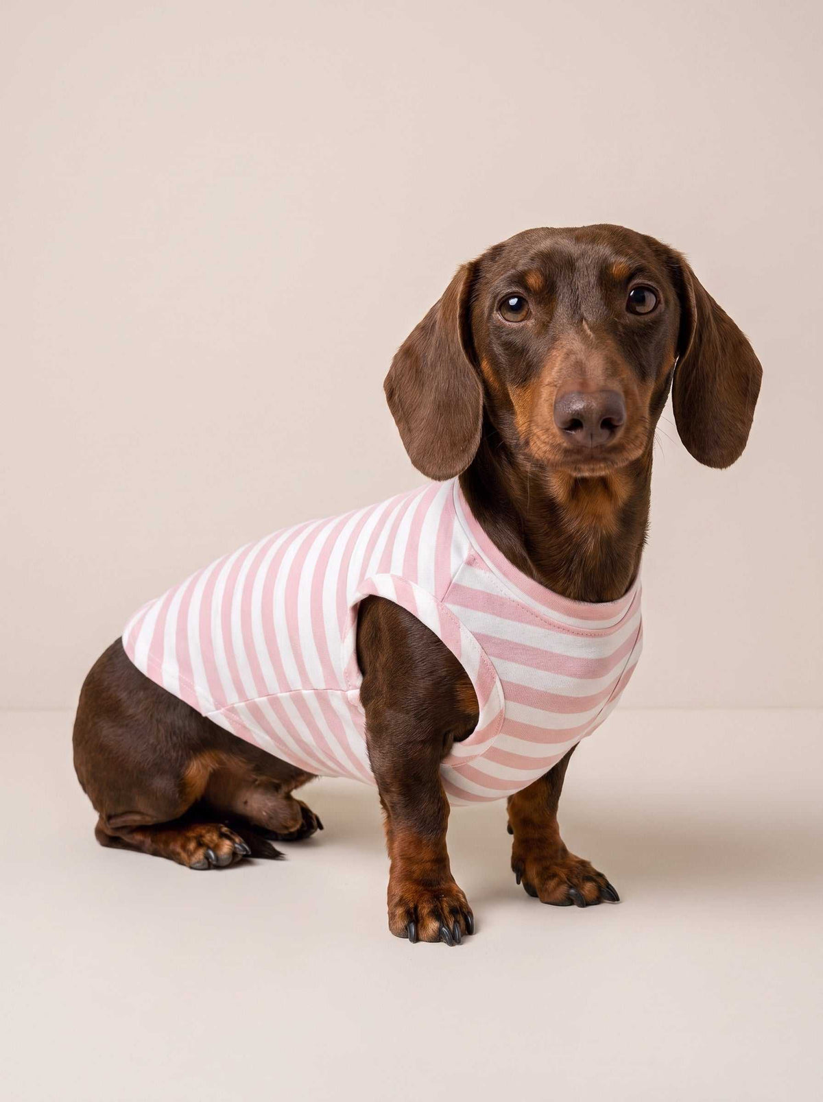 Camiseta Fresh Pink