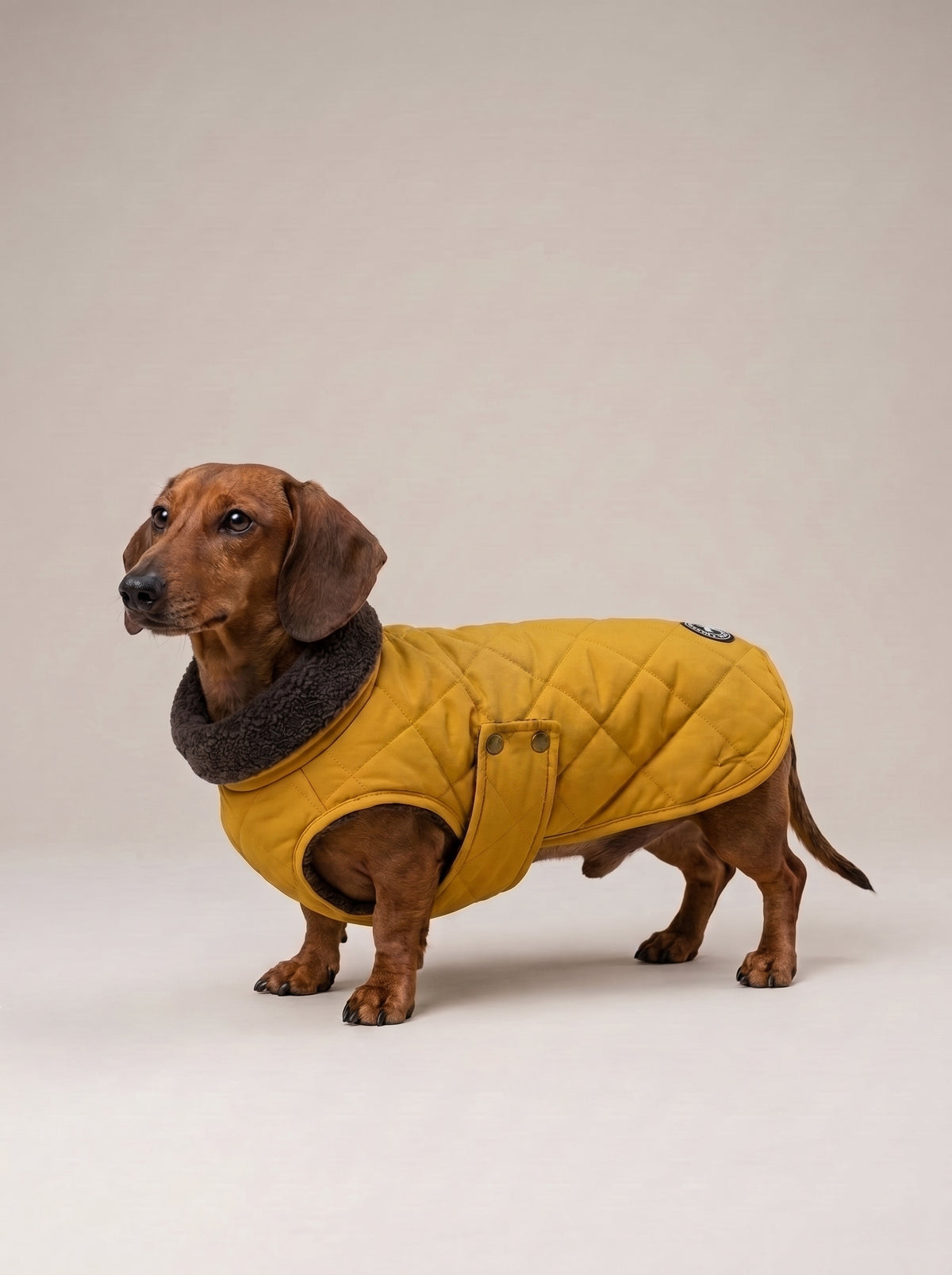Maxi Gold waterproof coat