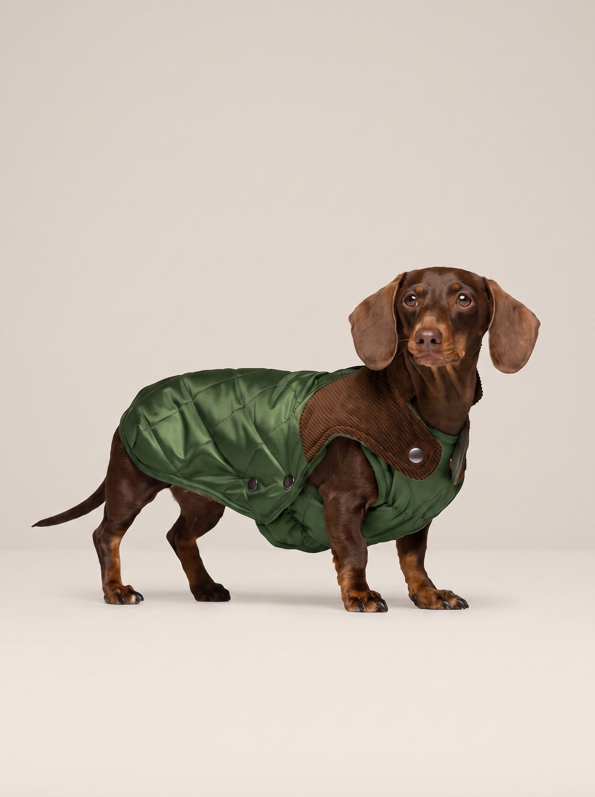 Willy Olive Waterproof Coat