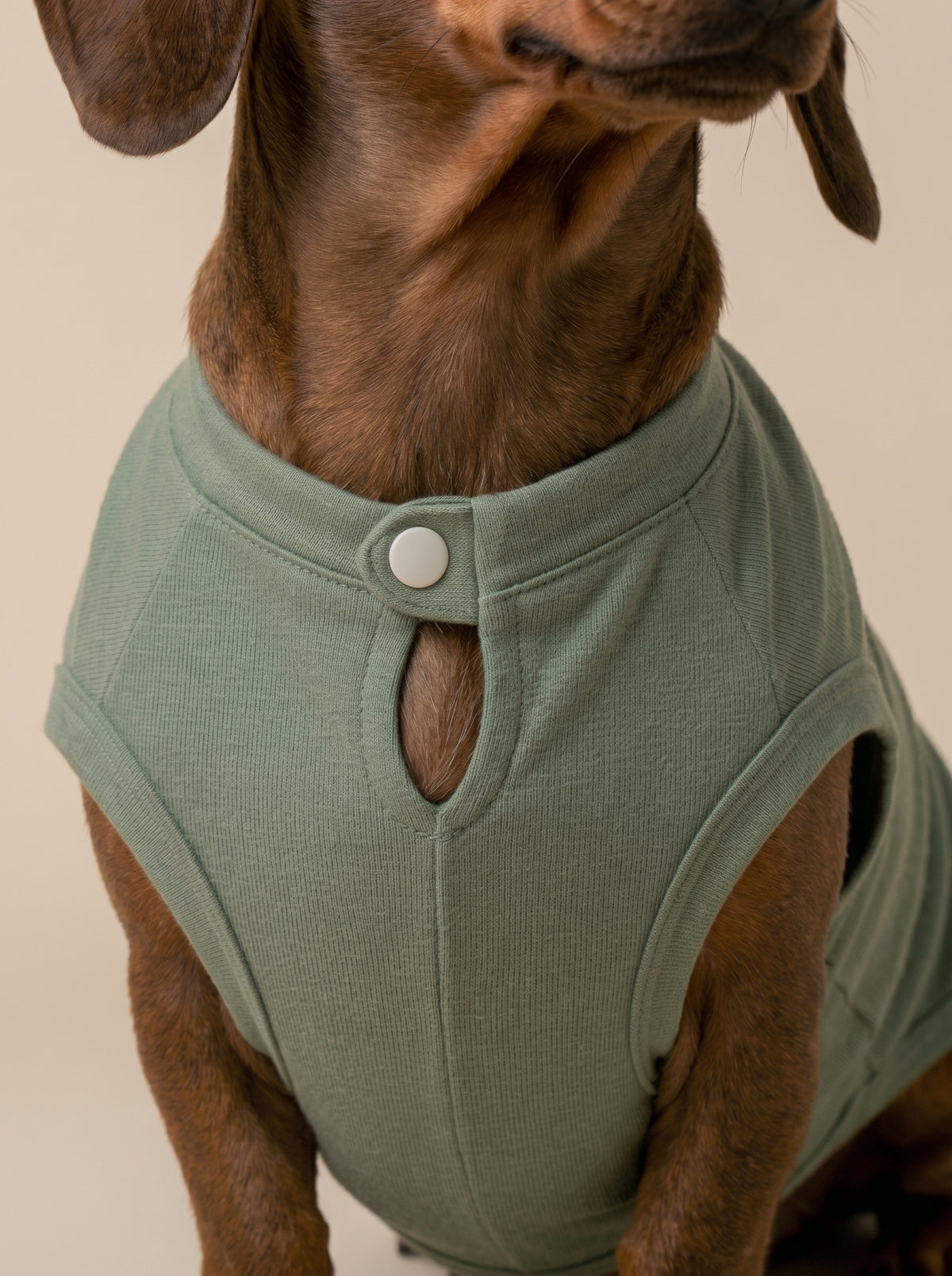 T-Shirt Organic Green