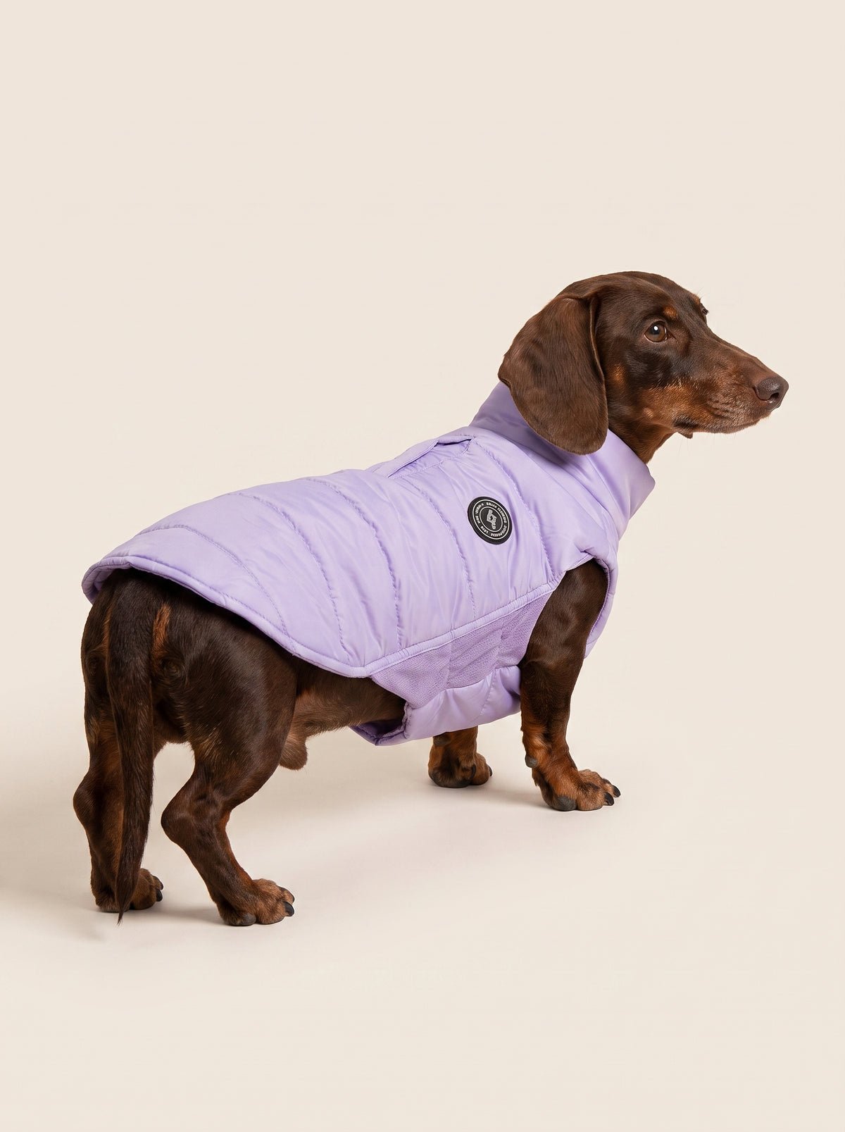 Daunenjacke Artic Lilac