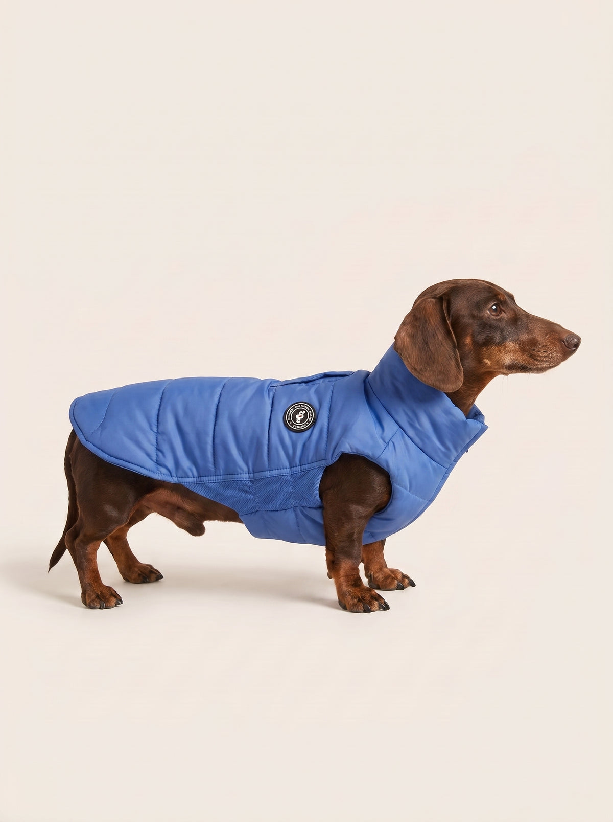 Artic-Daunenjacke Blue