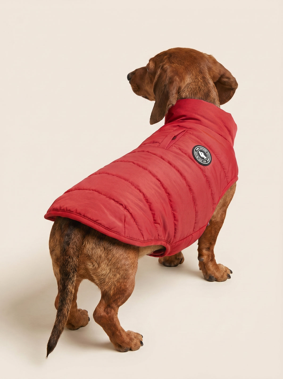 Artic-Daunenjacke Red