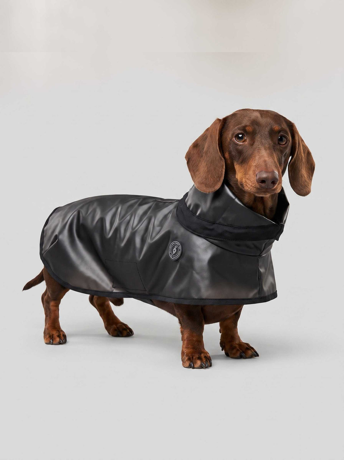 Chubasquero Tintin Zero Black