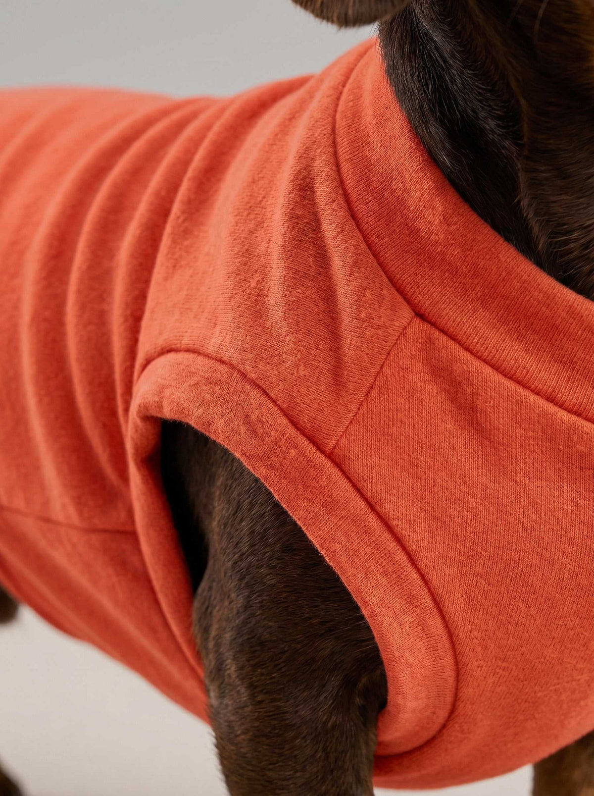 Chaqueta de punto Hudson Coral