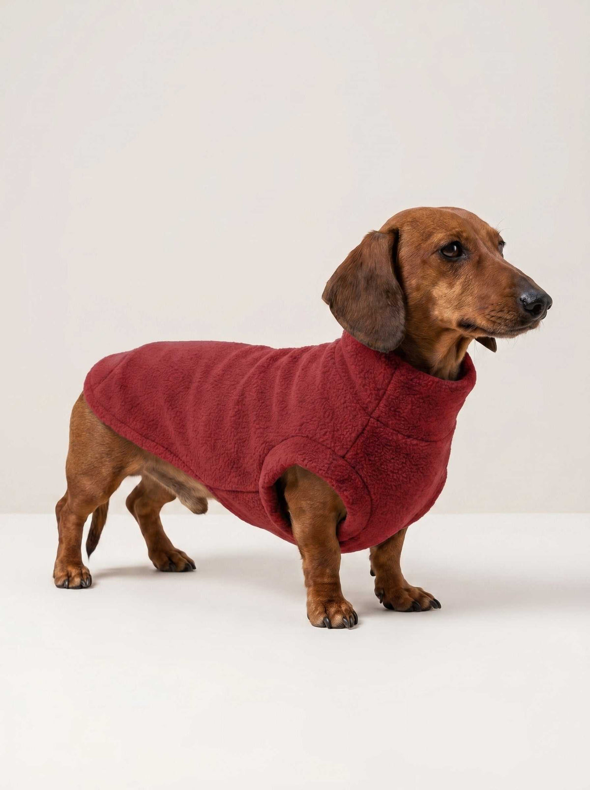 Abrigo polar Alaska Ruby