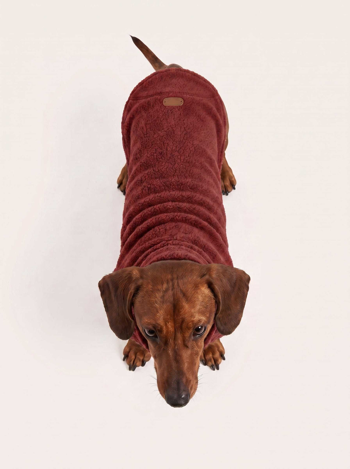 Abrigo polar Alaska Dark Red