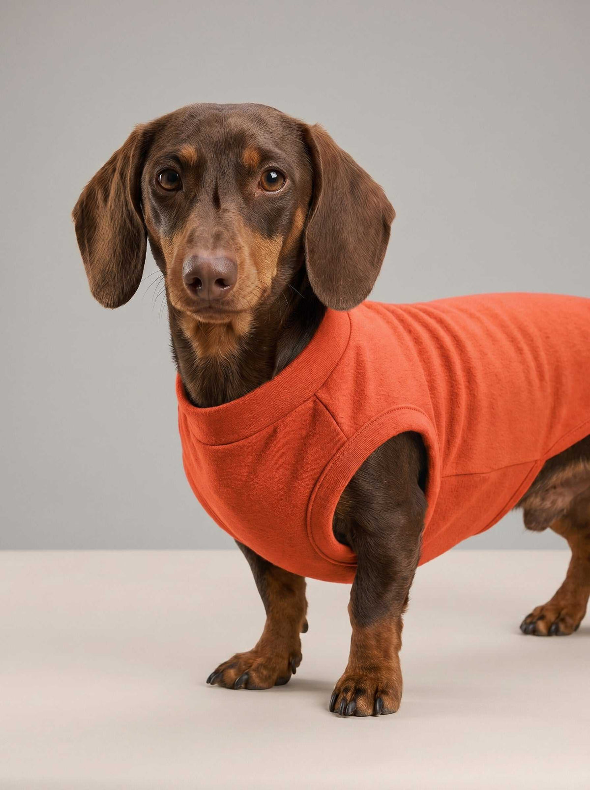 Chaqueta de punto Hudson Coral