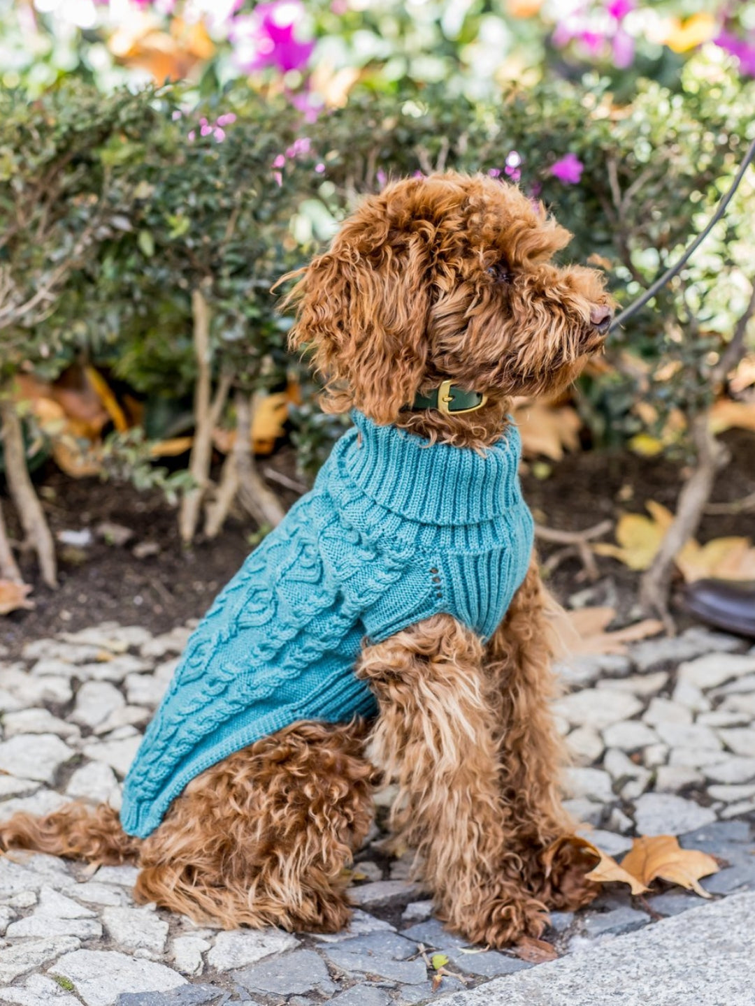 Jerseys para perros de lana