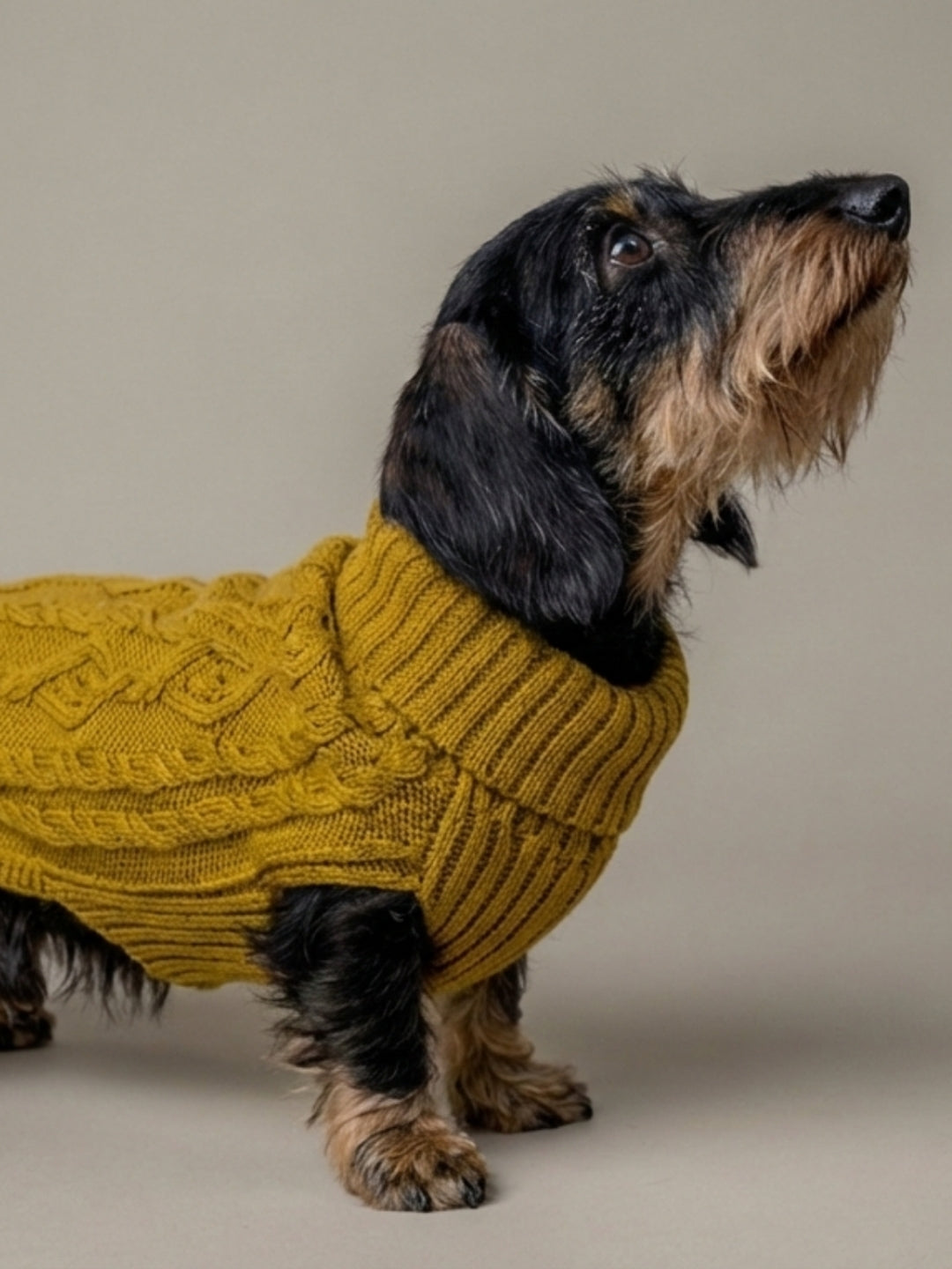 Paul Honey sweater