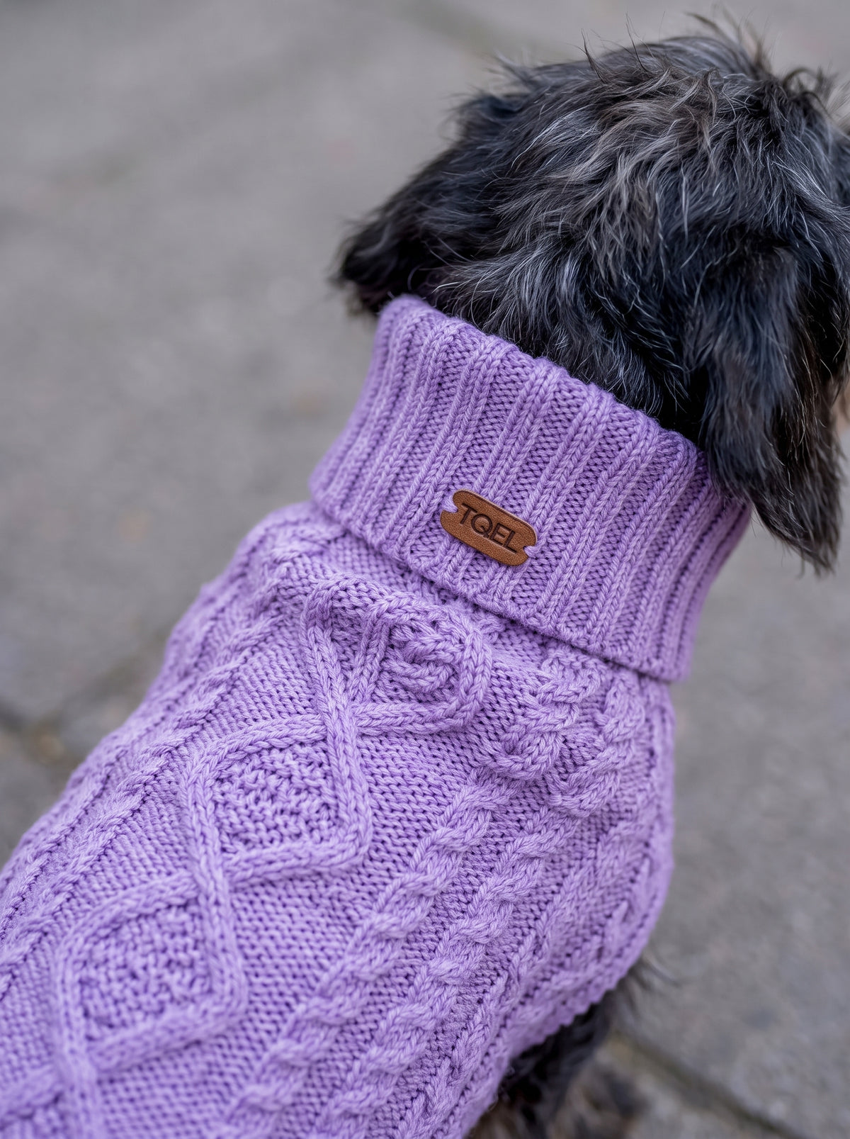 Jersey para perros