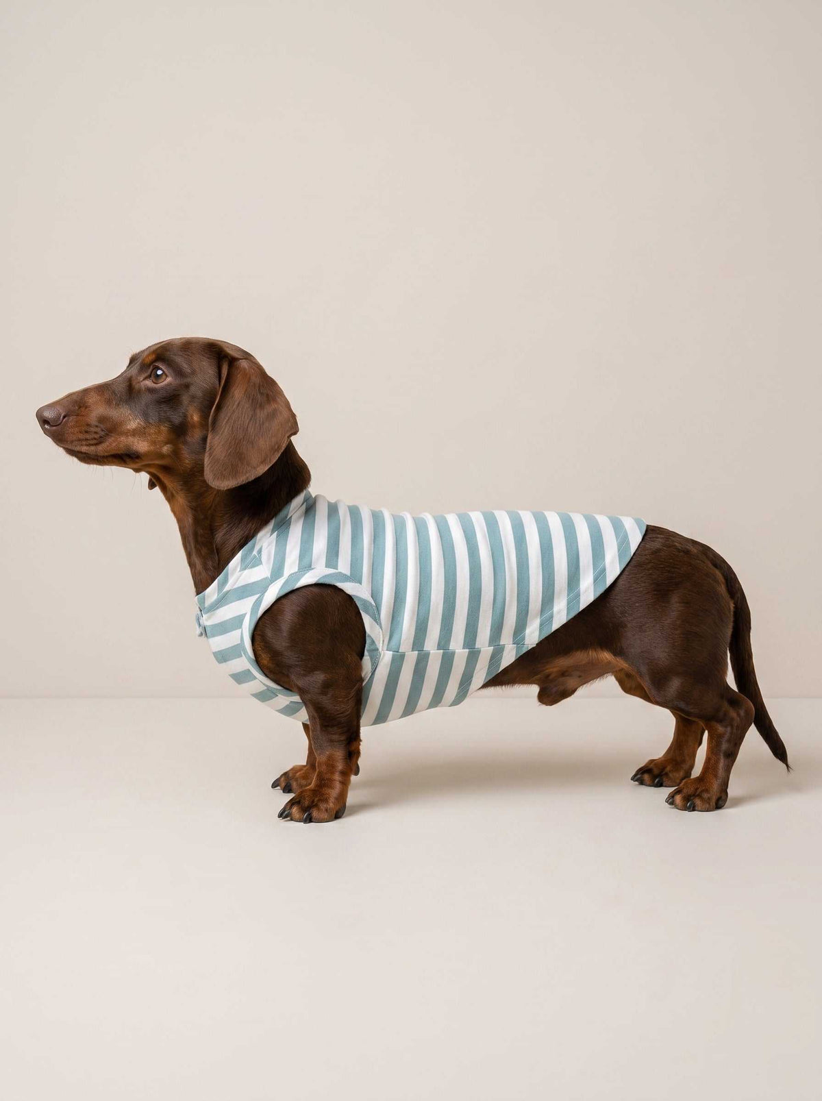 Camiseta Fresh Aquamarine