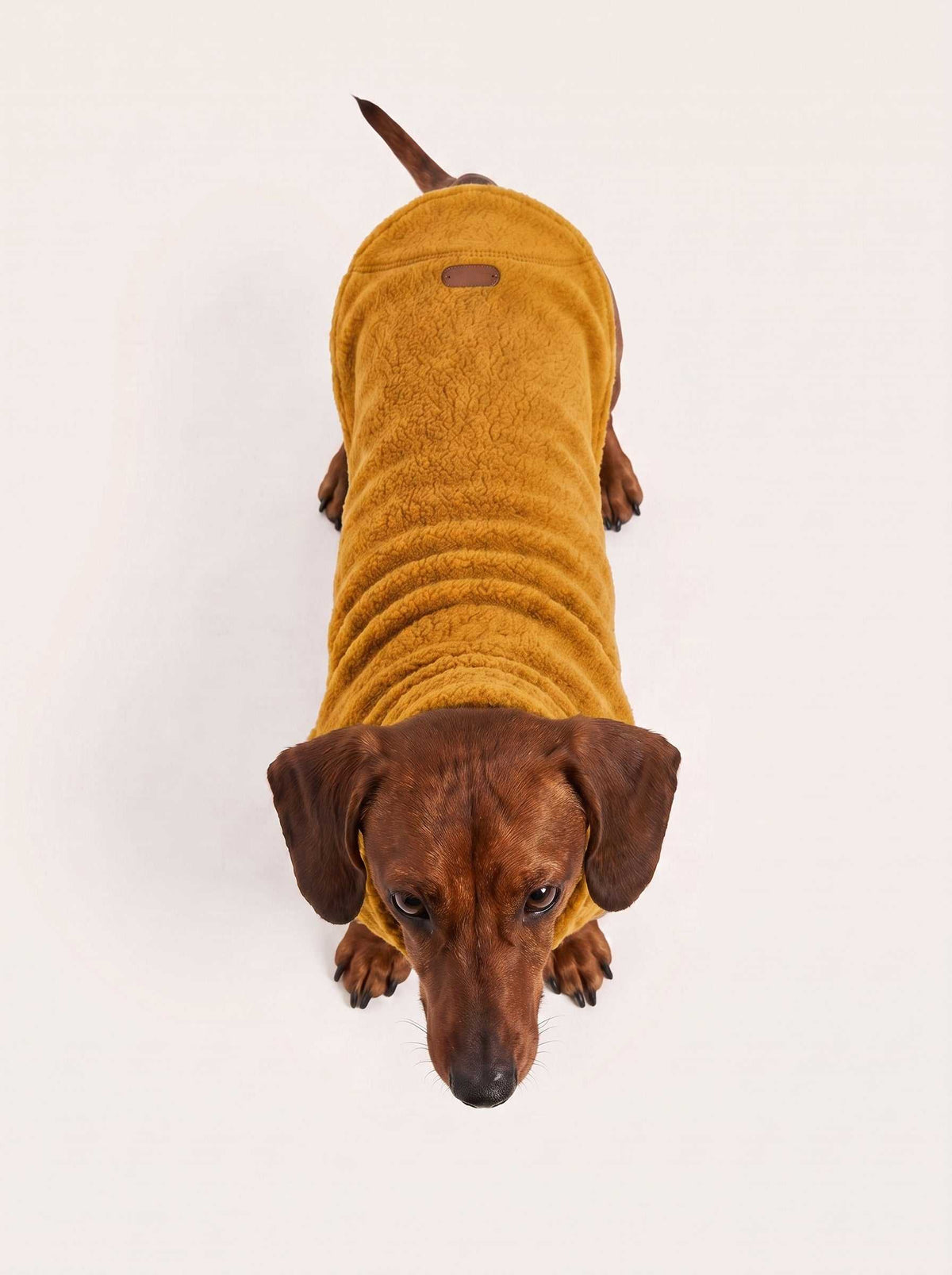 Abrigo polar Alaska Mustard